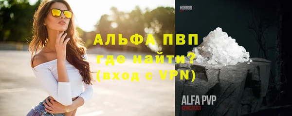 СК Новодвинск