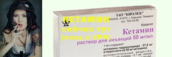 прущие грибы Мещовск