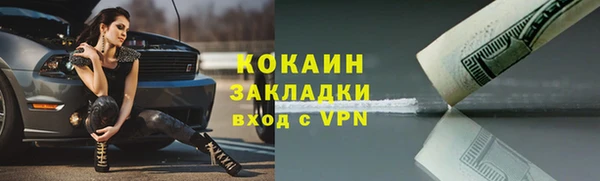 СК Новодвинск