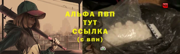 СК Новодвинск