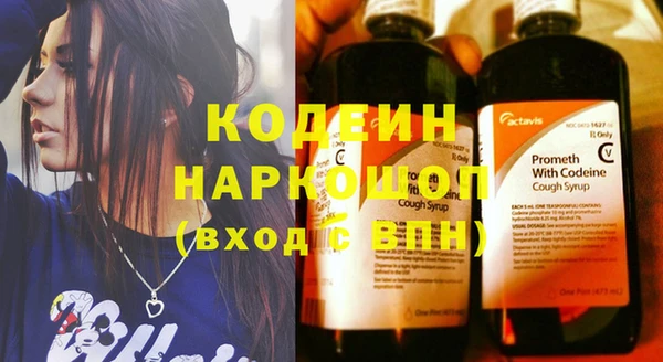 СК Новодвинск