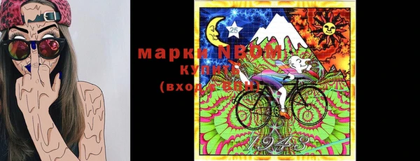 СК Новодвинск