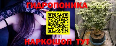 прущие грибы Аргун