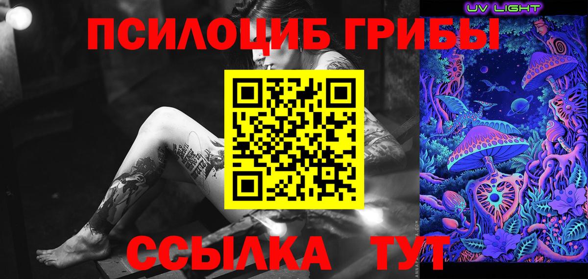 Псилоцибиновые грибы GOLDEN TEACHER Приморско-Ахтарск