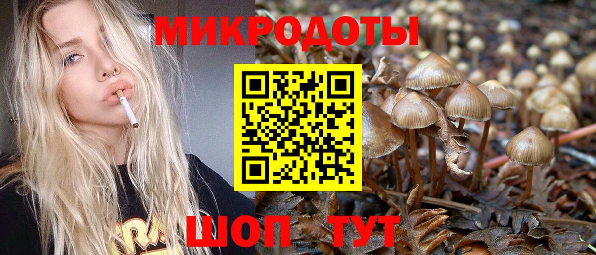 хочу наркоту  Галлюциногенные грибы прущие грибы  Вход с VPN  Галлюциногенные грибы Psilocybine cubensis  Приморско-Ахтарск 