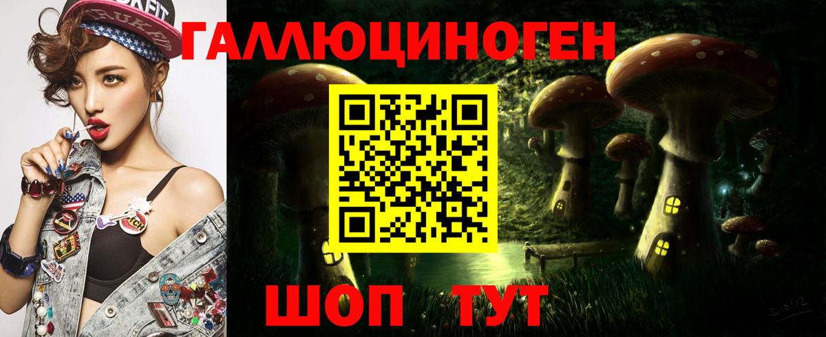 Псилоцибиновые грибы Psilocybe  Галлюциногенные грибы MAGIC MUSHROOMS  Приморско-Ахтарск 